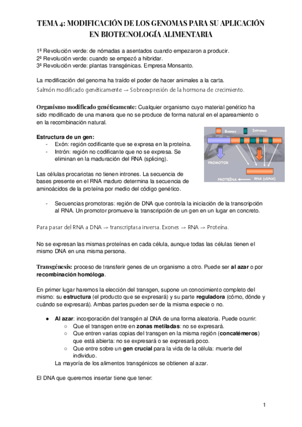 Miniatura del documento TEMA-4-MODIFICACION-DE-LOS-GENOMAS.pdf