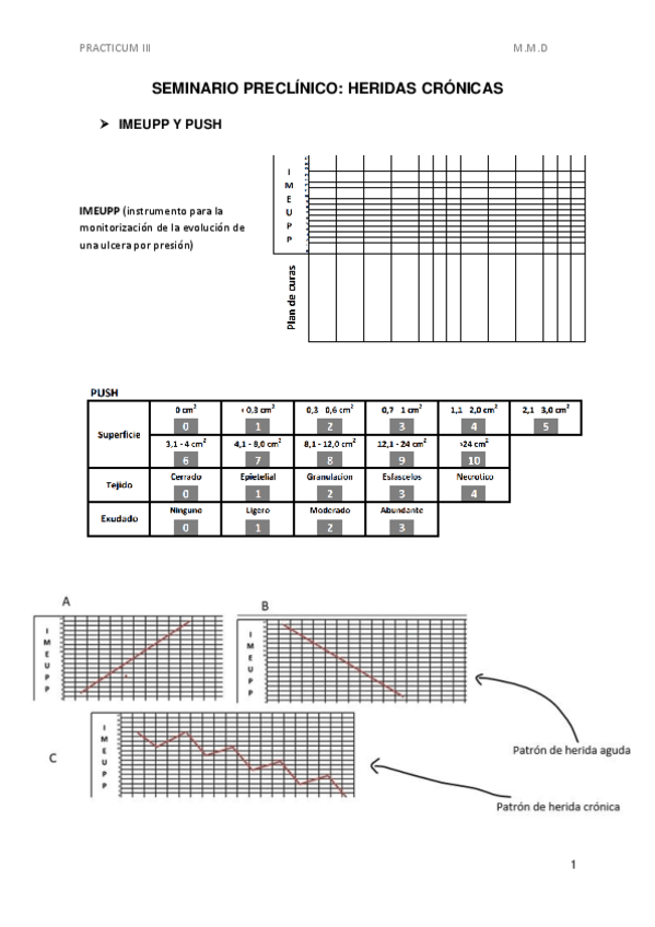 Miniatura del documento SEMINARIO-HERIDAS-CRONICAS.pdf