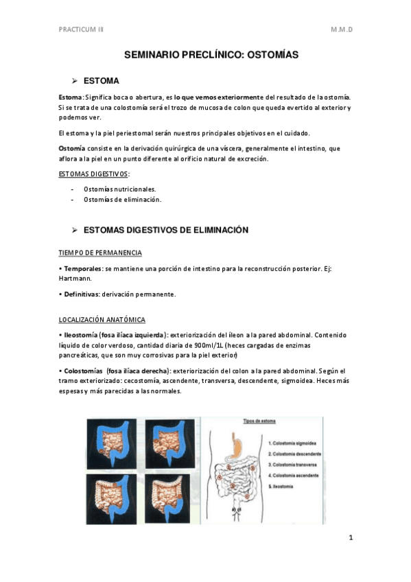 Miniatura del documento SEMINARIO-OSTOMIAS.pdf