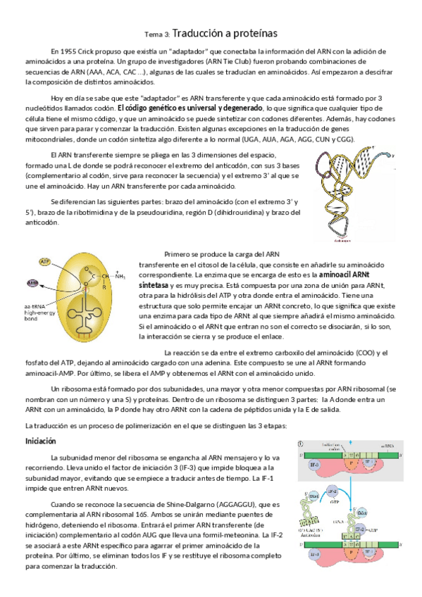 Miniatura del documento tema-3-traduccion-a-proteinas.pdf