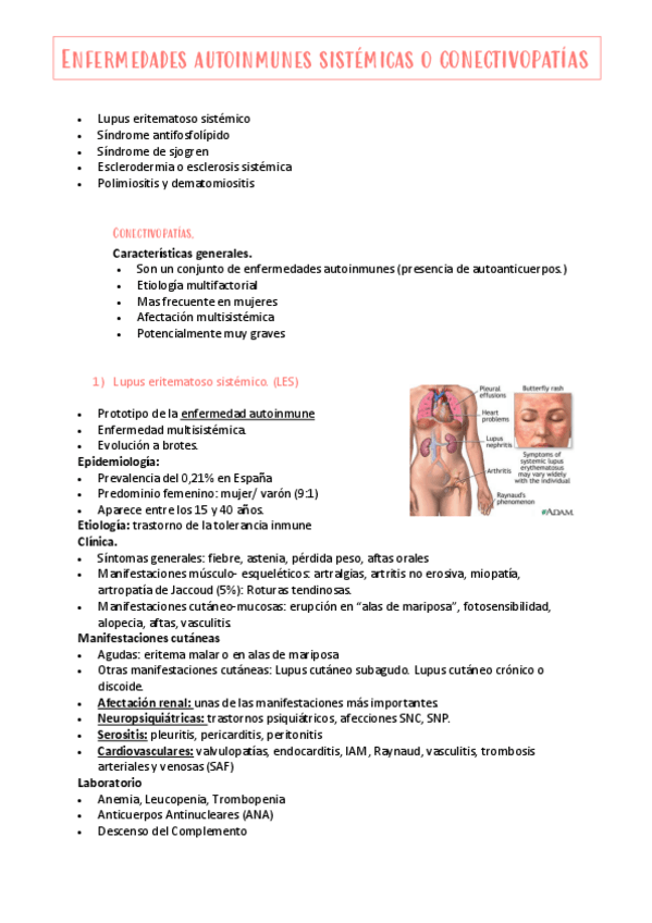 Miniatura del documento conectivopatias-espondiloartritis-y-exploracion.pdf