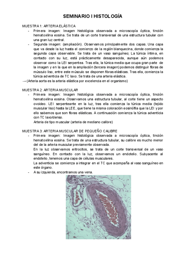 Miniatura del documento SEMINARIO-I-HISTOLOGIA.pdf