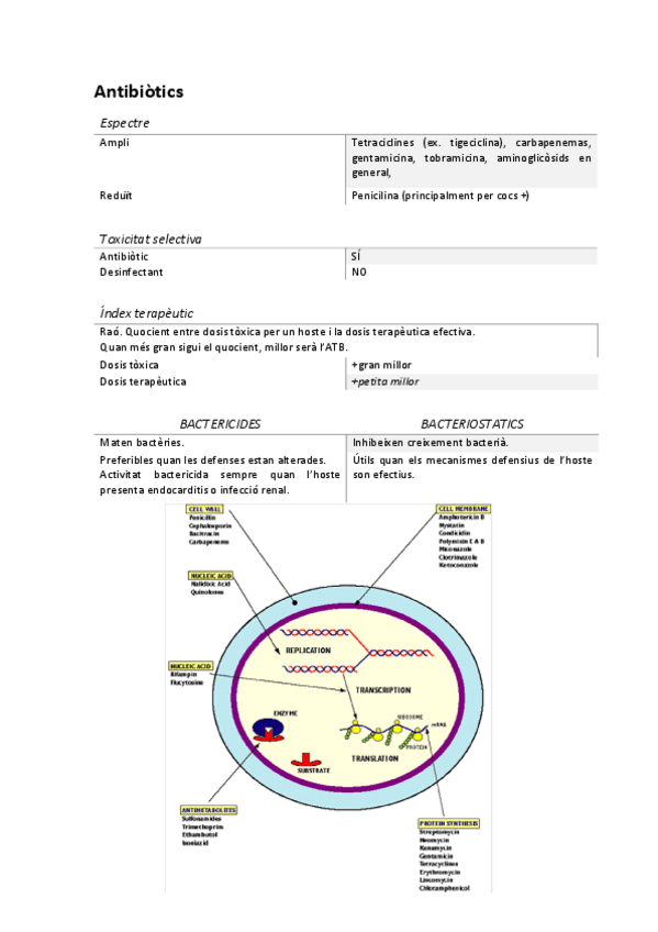 Miniatura del documento Apuntes-examen-antibioticos.pdf