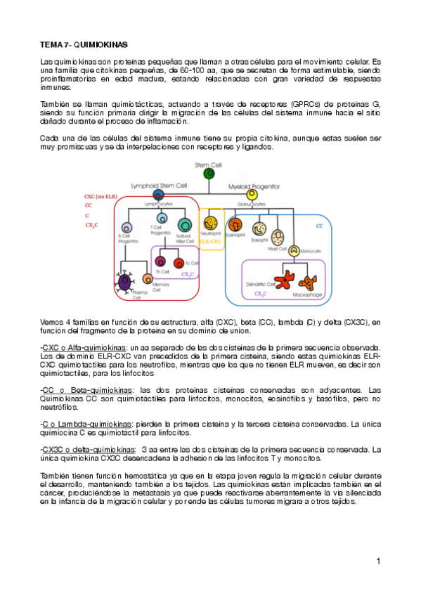 Miniatura del documento TEMA-7-QUIMIOKINAS.pdf
