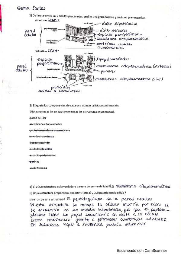Miniatura del documento tasca-paredgema.pdf