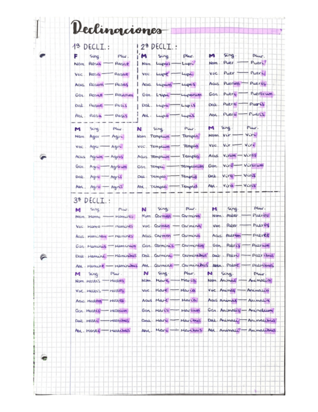 Miniatura del documento Declinaciones.pdf