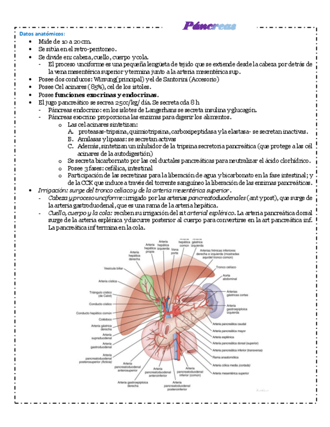 Miniatura del documento pancrea-apendice-estomago.pdf