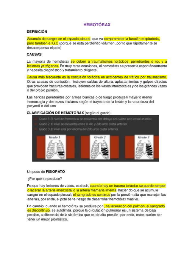 Miniatura del documento HEMOTORAX.pdf
