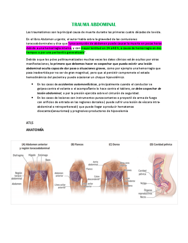 Miniatura del documento TRAUMA-ABDOMINAL.pdf