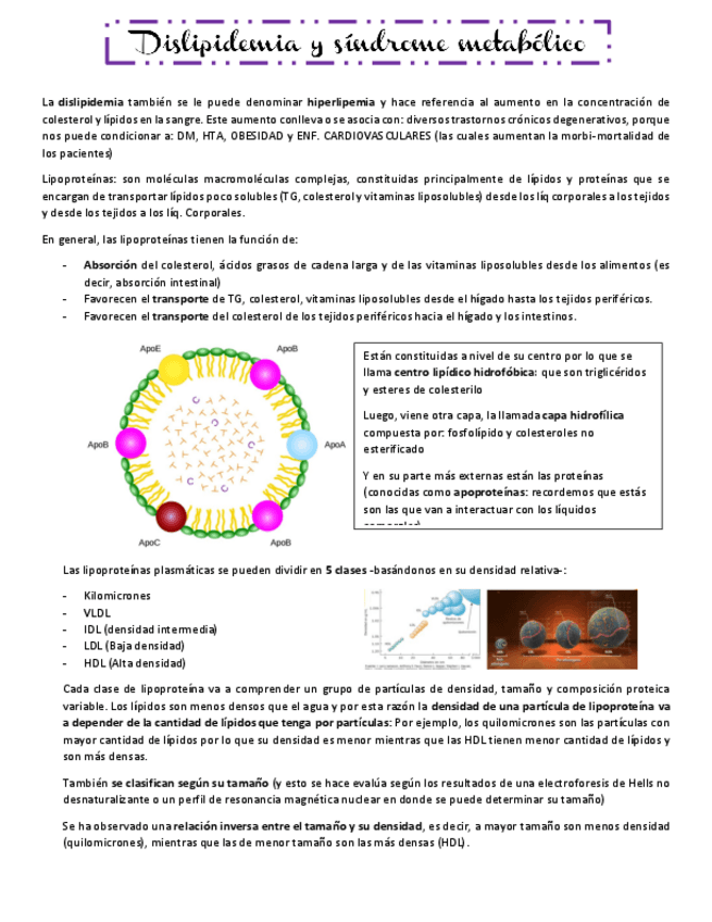 Miniatura del documento DISLPIDEMIAS-Y-SINDROME-METABOLICO.pdf