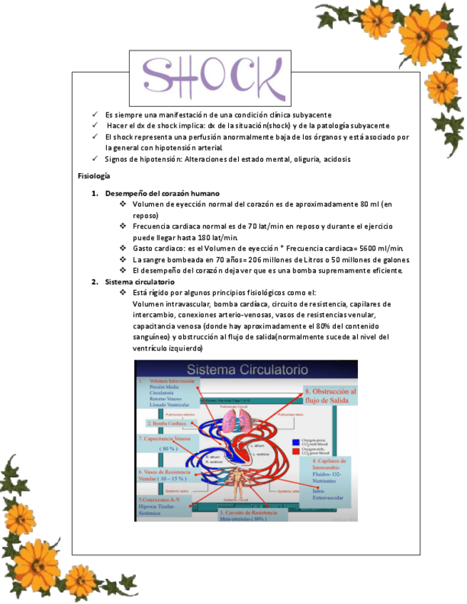 Miniatura del documento SHOCK.pdf