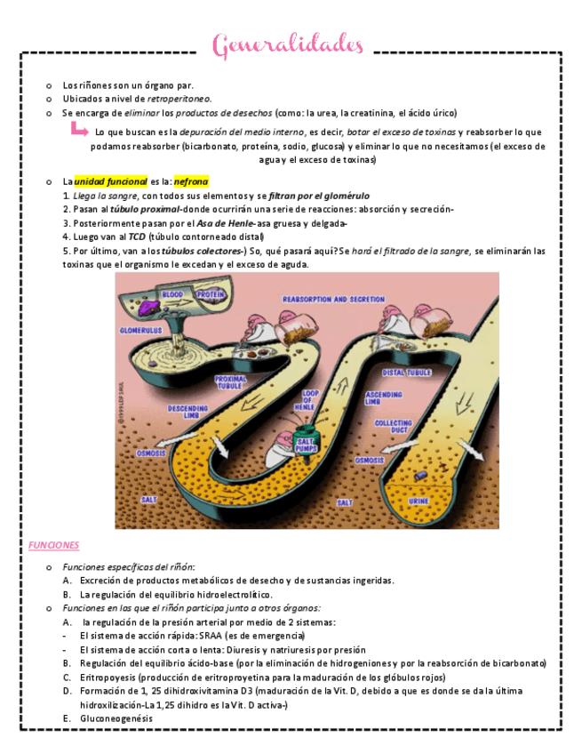 Miniatura del documento IRA-E-IRC.pdf