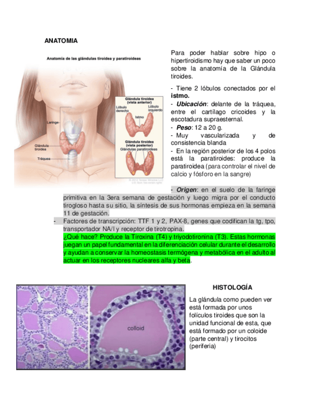 Miniatura del documento TIROIDES-HIPO-E-HIPER.pdf