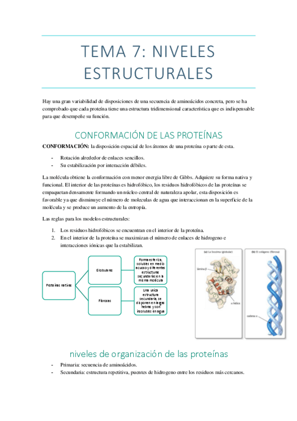 Miniatura del documento TEMA-7.pdf