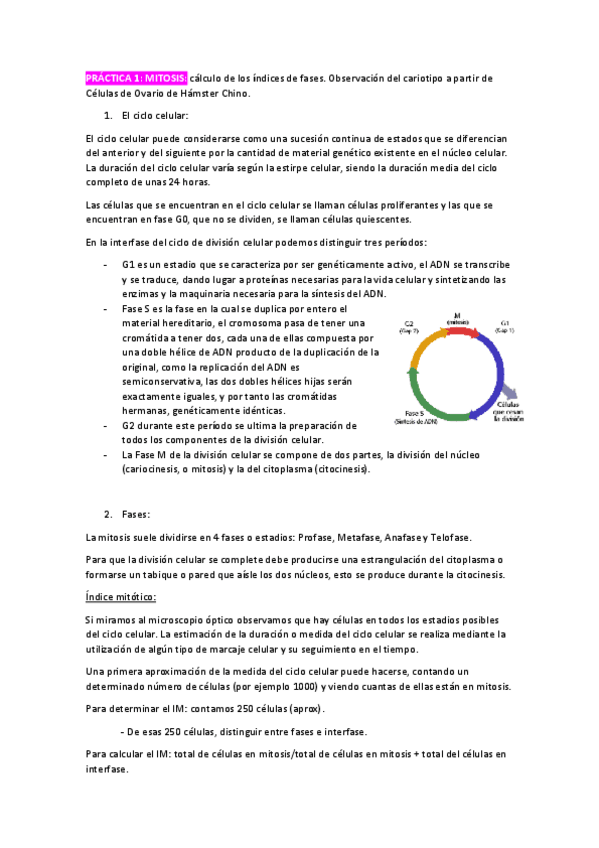 Miniatura del documento PRACTICA-1-BCHI.pdf