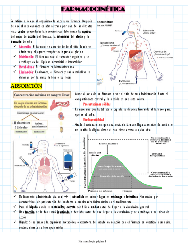 Miniatura del documento Farmacocinetica.pdf
