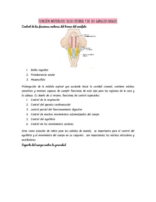 Miniatura del documento Funcion-motora-del-tallo-cerebral-y-ganglios-basales.pdf