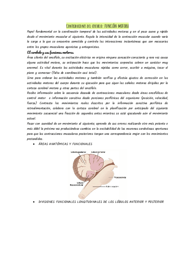 Miniatura del documento Contribuciones-del-cerebelo-funcion-motora.pdf