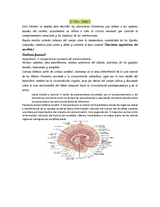 Miniatura del documento Sistema-limbico.pdf