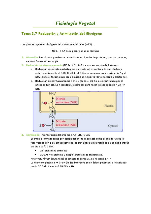 Miniatura del documento Tema-3.pdf