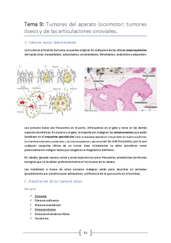 Miniatura del documento Tema-9.pdf