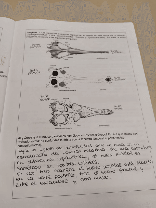 Miniatura del documento 41509A70-03AC-4711-B70C-885987FC3C17.jpg