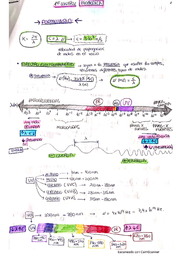 Miniatura del documento formulario-apuntes-tema-1-biomedica.pdf