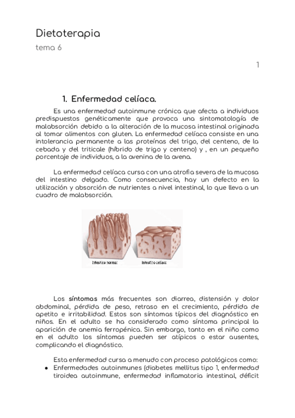 Miniatura del documento Dietoterapia-Resumen-Tema-6.pdf