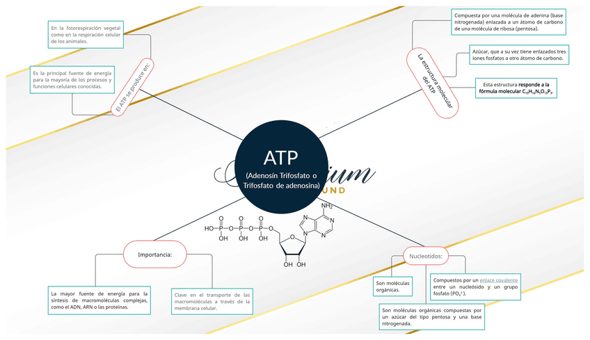 Miniatura del documento ATP.pdf