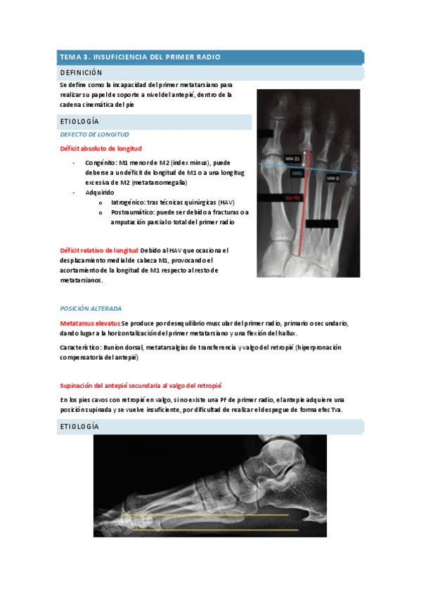 Miniatura del documento PP-U2-T1-T2-T3-T4.pdf