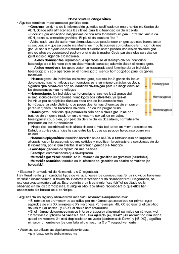 Miniatura del documento NOMENCLATURA-CITOGENETICA.pdf