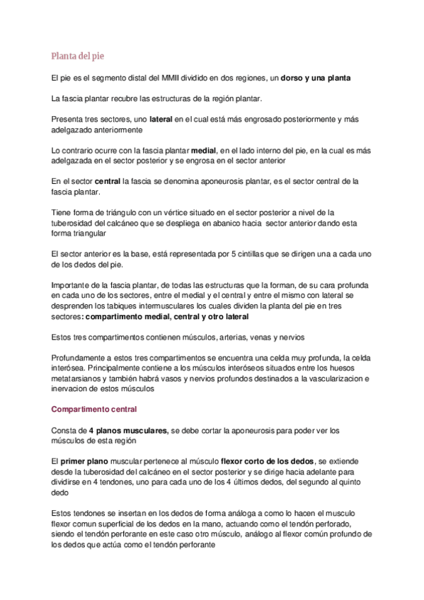 Miniatura del documento Planta-del-pie.pdf