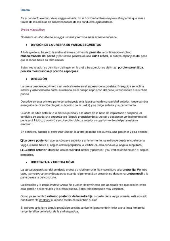 Miniatura del documento URETRA.pdf