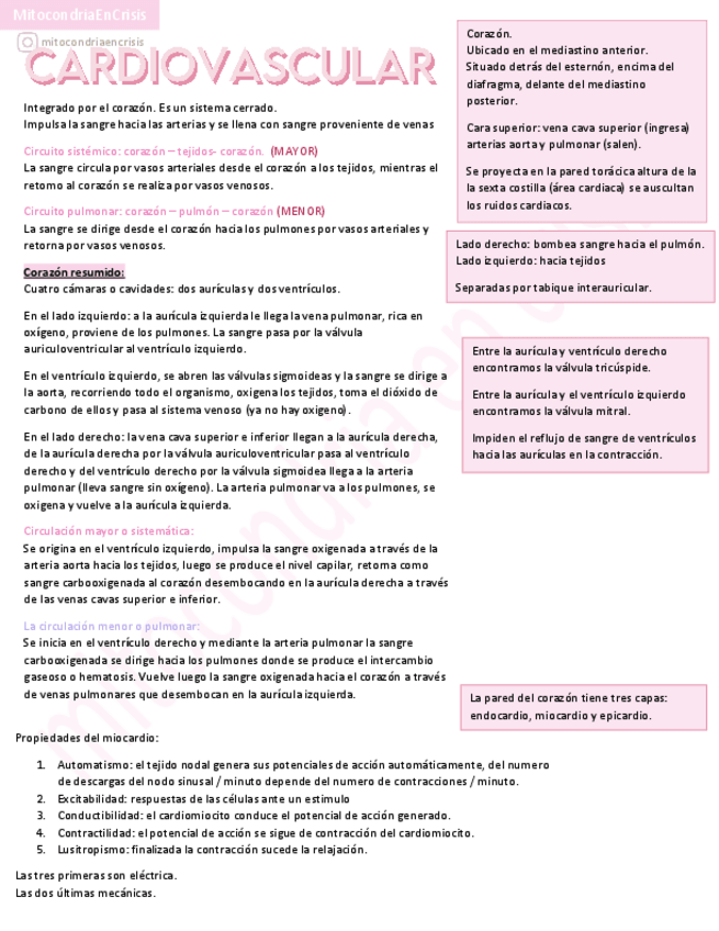 Miniatura del documento Cardio-Fisio-IQ.pdf