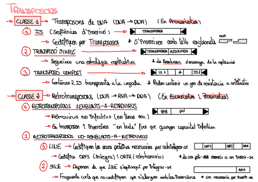 Miniatura del documento ESQUEMA-TRANSPOSONS.pdf