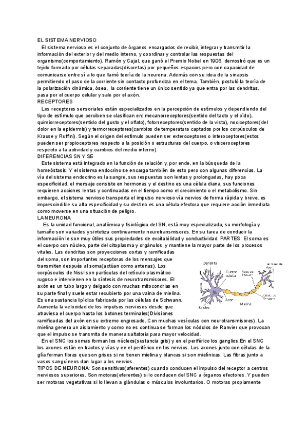 Miniatura del documento nervioso-1.pdf