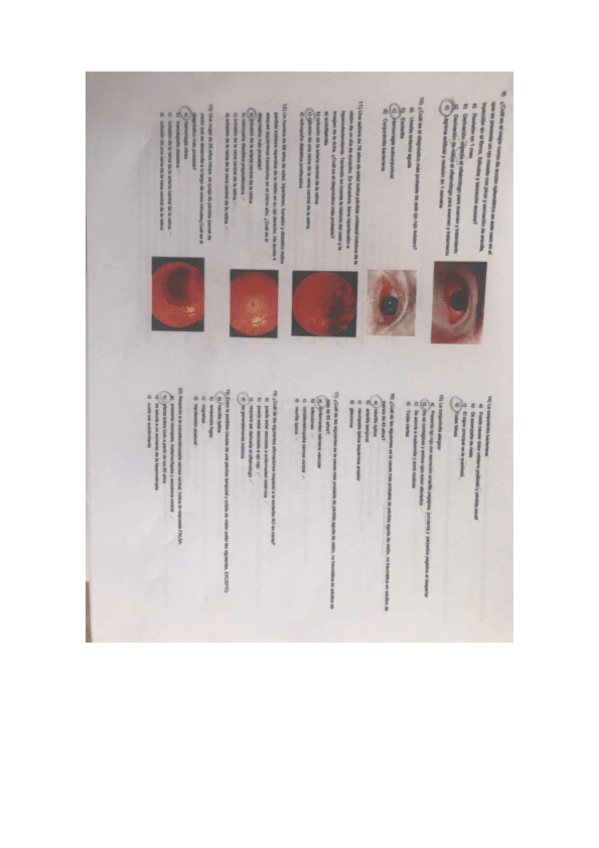 Miniatura del documento foto1.pdf