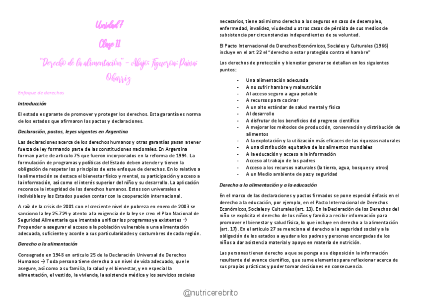 Miniatura del documento ISP-11-Derecho-a-la-alimentacion-SA-Nutricerebrito.pdf