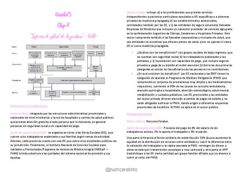 Miniatura del documento ISP-8-Sistema-de-Salud-Nutricerebrito.pdf