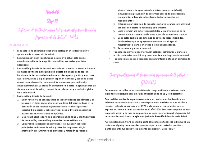 Miniatura del documento ISP-10-APS-Nutricerebrito.pdf