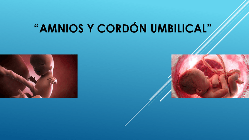 Miniatura del documento Amnios-y-cordon-umbilical.pdf