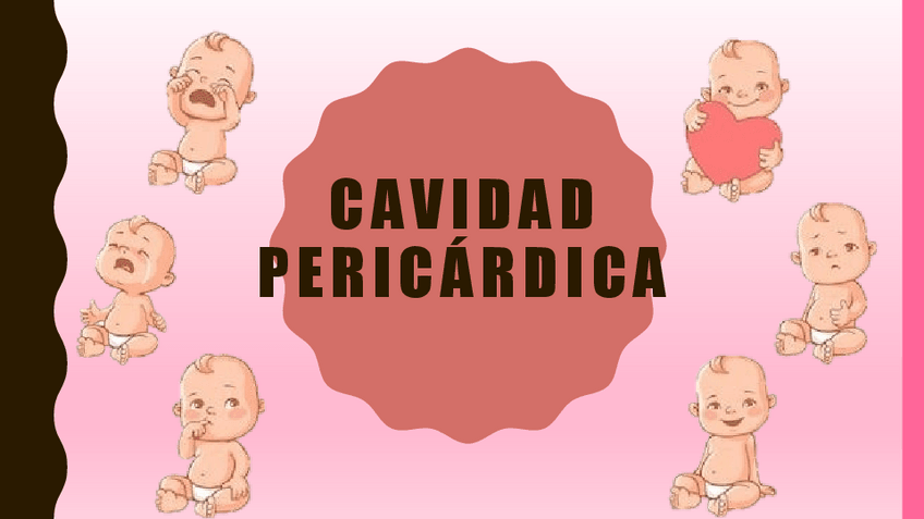 Miniatura del documento CAVIDAD-PERICARDICA.pdf