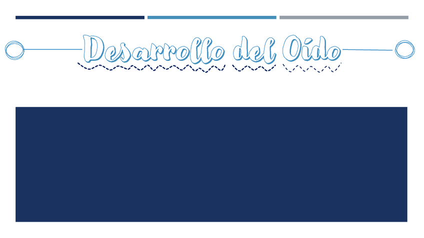 Miniatura del documento OIDO.pdf