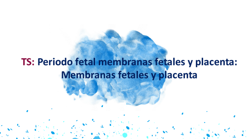 Miniatura del documento Periodo-fetal.pdf