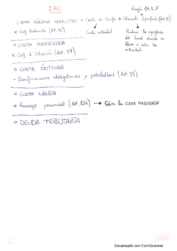 Miniatura del documento ESQUEMA-IAE.pdf