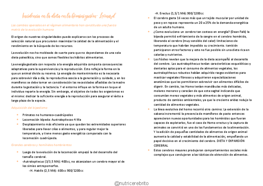 Miniatura del documento Socioantropologia-10-Leonard-Nutricerebrito.pdf