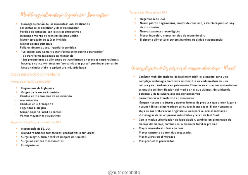 Miniatura del documento Socioantropologia-12-Sammartino-y-Maciel-Nutricerebrito.pdf