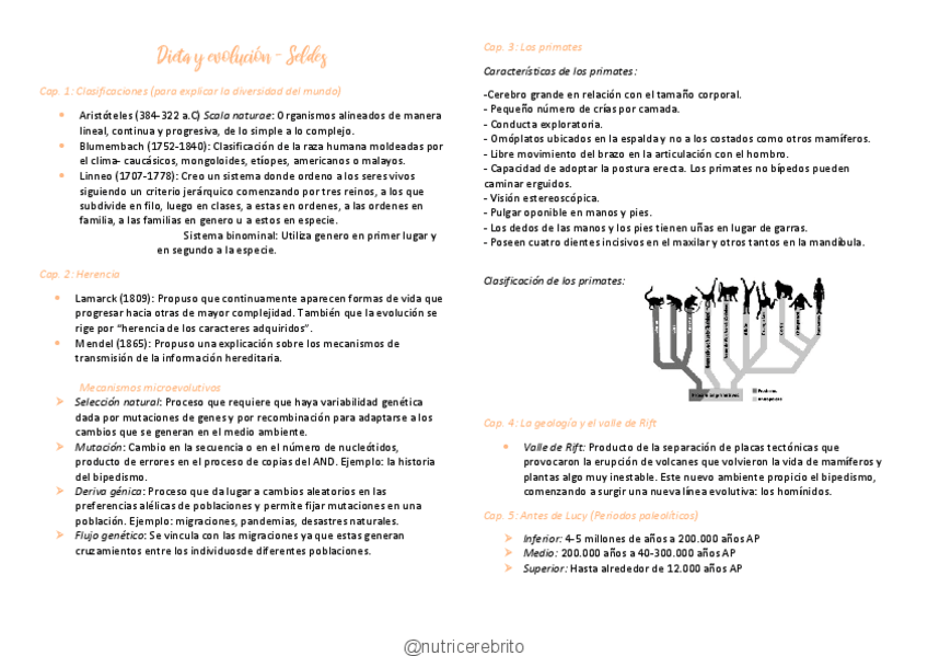 Miniatura del documento Socioantropologia-11-Seldes-Nutricerebrito.pdf