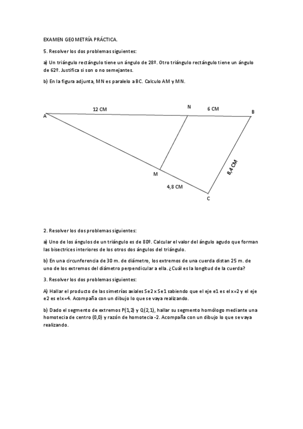Miniatura del documento EXAMEN-GEOMETRIA-PRACTICA.pdf