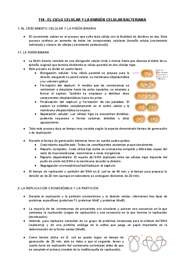 Miniatura del documento T10-MIC-El-Ciclo-Celular-y-la-Division-Celular-Bacteriana.pdf